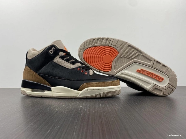 Reps LUCY Air CT8532-008 Jordan Elephant Desert 3 0715